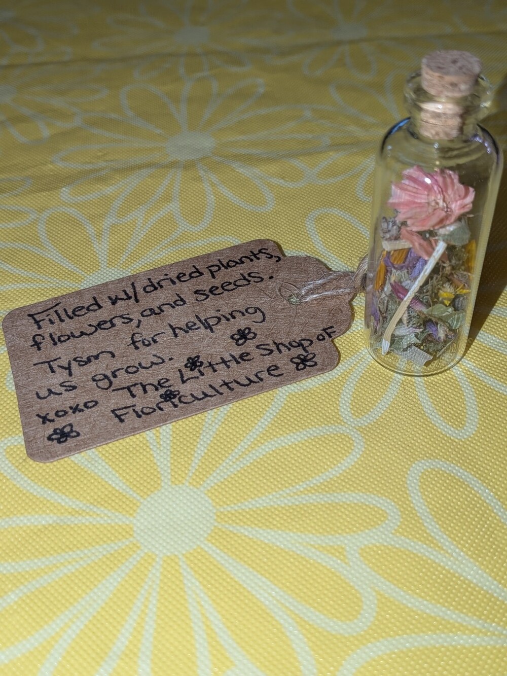 Tiny Handmade Terrarium - Picture 2 of 5